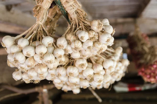 Knoflook in een groep - Thaise vegatable — Stockfoto
