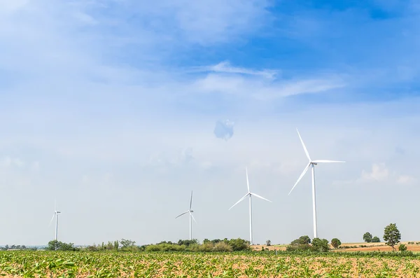 Elétrica Eco turbina eólica fabricante de energia na fazenda de mandioca - Huay b — Fotografia de Stock