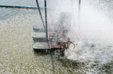 Su arıtma ve wat oksijen dolaşımını için türbin