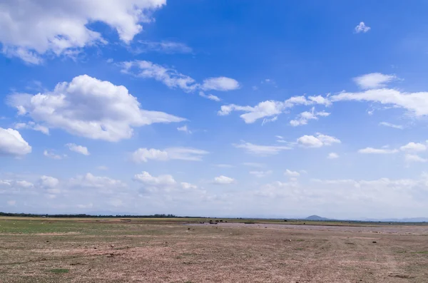 Paisagem de nuvem e campo seco — Fotografia de Stock