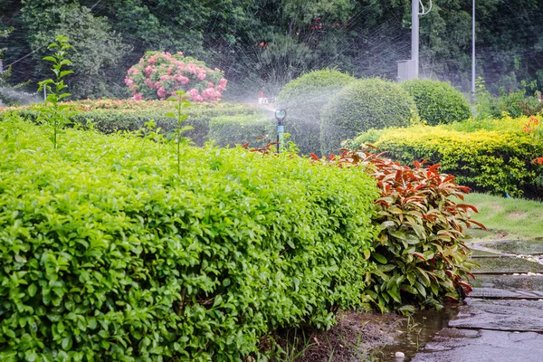 公園で水を噴霧ノズル スプリンクラー — ストック写真