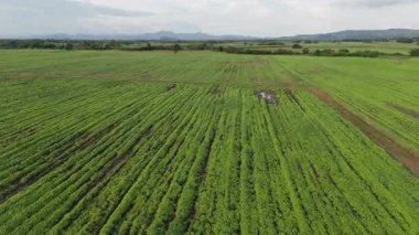 Geniş yeşil tarım arazilerinin yüksek açılı insansız hava aracı görüntüleri açık kırsal alanlara uzanan ekili ekin sıraları modern tarımı, gıda üretimini ve sürdürülebilir kırsal araziyi temsil ediyor.