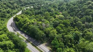 Yoğun yeşil ormanı kesen, doğal manzarayı, manzaralı seyahat rotasını ve yukarıdan barışçıl kırsal çevreyi yakalayan dolambaçlı bir dağ yolunun yüksek açılı drone görüntüleri..