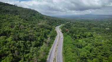 Yoğun yeşil ormanı kesen, doğal manzarayı, manzaralı seyahat rotasını ve yukarıdan barışçıl kırsal çevreyi yakalayan dolambaçlı bir dağ yolunun yüksek açılı drone görüntüleri..