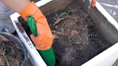 Küçük bir kürek kullanarak ellerinizi yakınlaştırın ve saksıdaki toprağı gevşetin. Ev işleri, ekme hazırlığı ve organik yaşam tarzı konsepti.