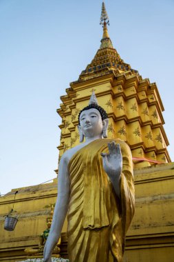 Tayland 'daki tapınak tapınağının önünde duran altın Buda heykeli, Budizm, maneviyat ve kültür mirasının sembolü, Wat Luang, Chiang Khong, Chiang Rai, Tayland