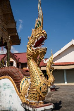 Tayland ruhani inancını, kültürel mirasını, nehir korumasını, Wat Luang 'ı, Chiang Khong' u, Chiang Rai 'yi, Tayland' ı temsil eden Mekong Nehri 'nin yanındaki Altın Naga yılan heykeli.