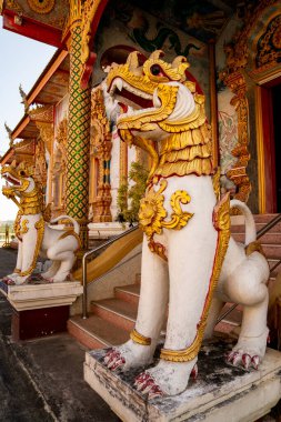 Geleneksel Singha koruyucu aslan heykeli Tayland tapınağının girişinde, kutsal mimari heykel korunmayı, inancı ve kültürel mirası, Wat Luang, Chiang Khong, Chiang Rai, Tayland 'ı simgeliyor.
