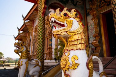 Geleneksel Singha koruyucu aslan heykeli Tayland tapınağının girişinde, kutsal mimari heykel korunmayı, inancı ve kültürel mirası, Wat Luang, Chiang Khong, Chiang Rai, Tayland 'ı simgeliyor.