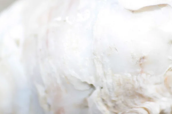 Bulanık resim arkaplan rengi