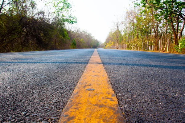 Linha de estrada amarela na estrada na floresta ensolarada (DOF rasa ) — Fotografia de Stock