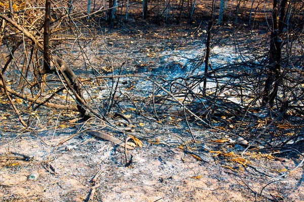 Incendios forestales., tierra vacía después del paso de fuego — Foto de Stock