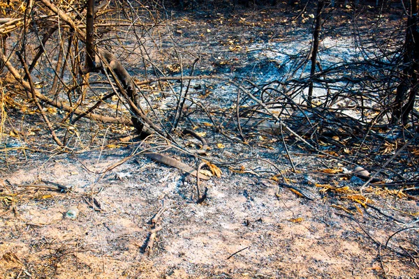 Incendios forestales., tierra vacía después del paso de fuego — Foto de Stock