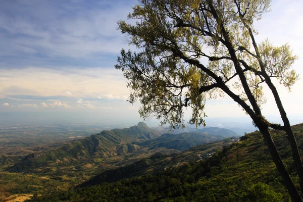 Phu küvet Berk bakış açısı, Phu Hin Rong Kla Milli Parkı Tayland — Stok fotoğraf