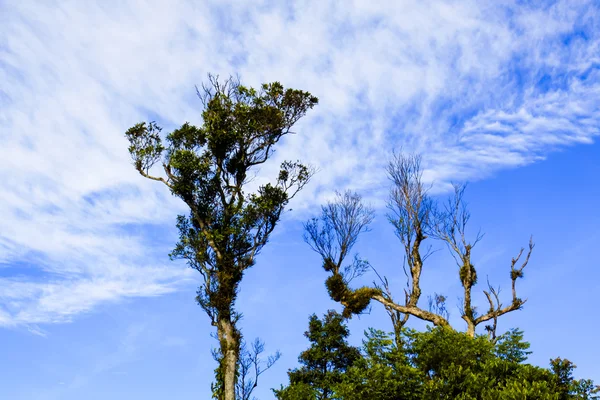 Phu badkar Berk Viewpoint, Phu Hin Rong Kla nationalpark i Thailand — Stockfoto