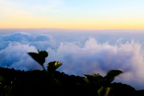 Phu küvet Berk bakış açısı, Phu Hin Rong Kla Milli Parkı Tayland