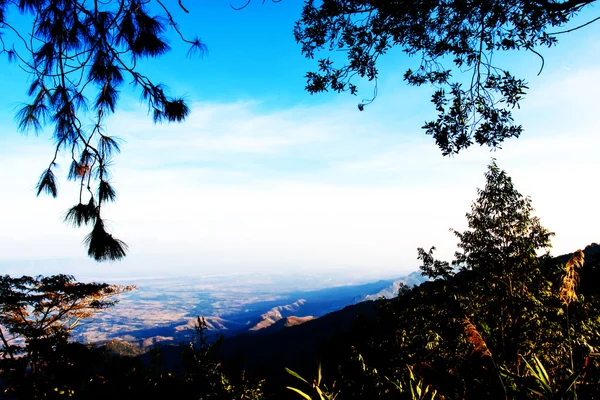 Belo nevoeiro do mar na hora da manhã no Miradouro de Phu Tub Berk — Fotografia de Stock