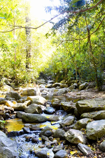 Waterval Tropisch Bos Rotsbodem — Stockfoto