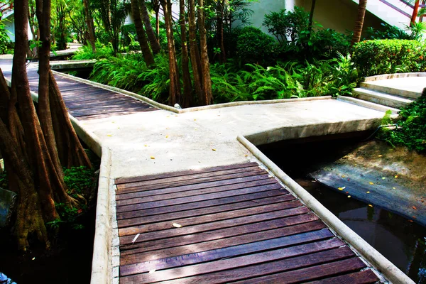 Arka plan için bahçe yolunda ağaçlar