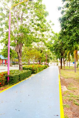 Parktaki bahçe ve yol