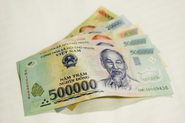 Vietnam dong banknot