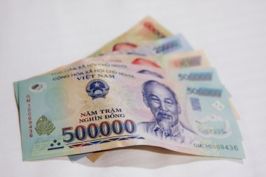 Vietnam dong banknot