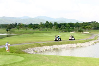 Yeşil spor golf sahası