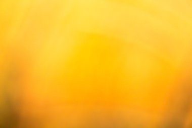 Bulanık resim arkaplan rengi