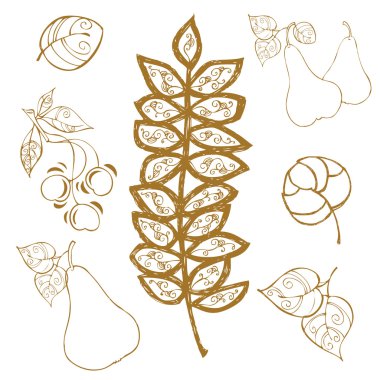 bitki öğeleri kümesi