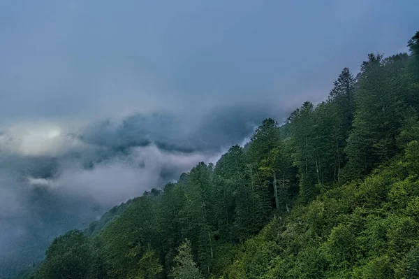 Top view of clouds, clouds in the mountains