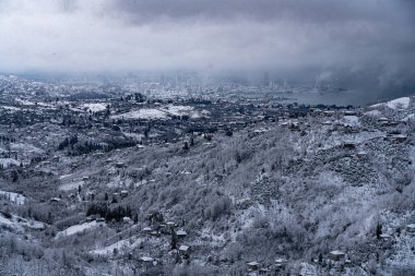 Karlı bir ormanın en üst manzarası