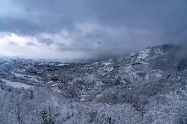 Karlı bir ormanın en üst manzarası