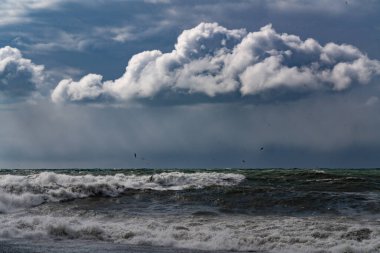 Rıhtımda bisiklet kiralama.