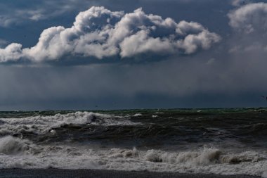 Rıhtımda bisiklet kiralama.