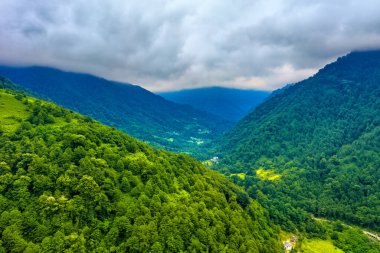 Mtirala Ulusal Parkı, Adjara, Georgia