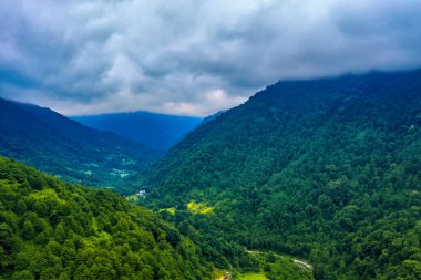 Mtirala Ulusal Parkı, Adjara, Georgia