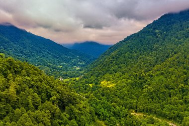 Mtirala Ulusal Parkı, Adjara, Georgia