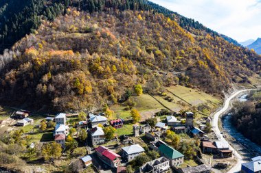 Dağlardaki sonbahar ormanı İHA 'dan görünüyor
