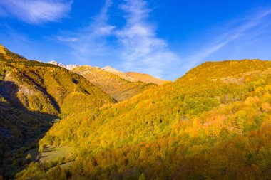 Racha Gürcistan 'da manzara, sonbahar ormanı