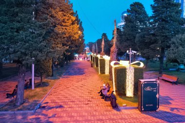 Yeni yıl batumi ağaç süslemesi