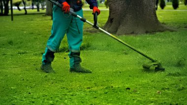 Parkta çim biçme makinesi olan bir adam çimleri temizliyor.