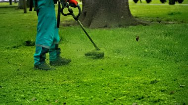 Parkta çim biçme makinesi olan bir adam çimleri temizliyor.