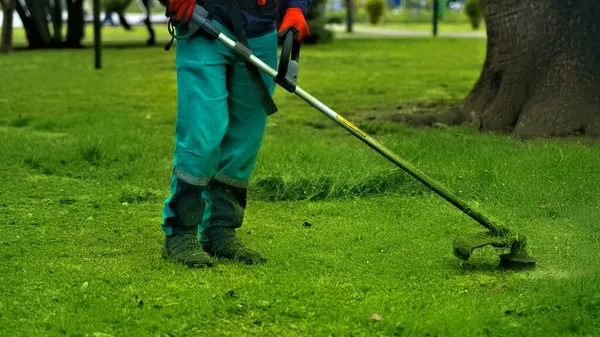 Homme Avec Une Tondeuse Dans Parc Nettoie Herbe — Photo