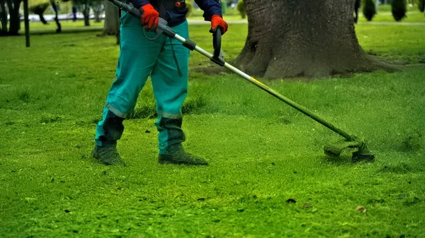 Hombre Con Una Cortadora Césped Parque Limpia Hierba —  Fotos de Stock