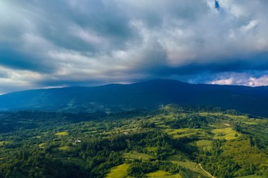 Yazın insansız hava aracından bir tarla ve orman manzarası