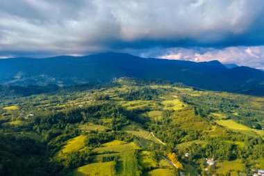 Yazın insansız hava aracından bir tarla ve orman manzarası