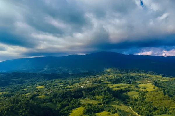 Yazın insansız hava aracından bir tarla ve orman manzarası