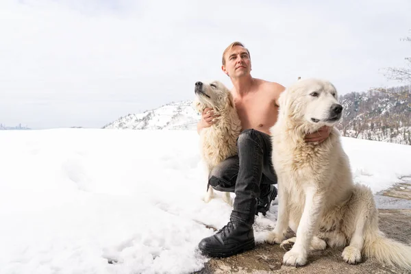 Homem Com Tronco Dois Cães Brancos Neve — Fotografia de Stock