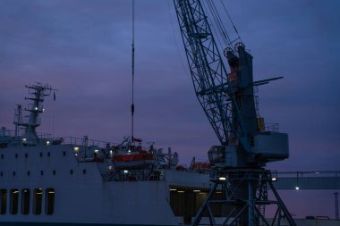 Mavi gökyüzü arka planında turna