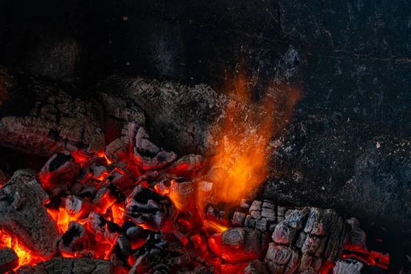 Fuoco Brucia Alla Griglia — Foto Stock